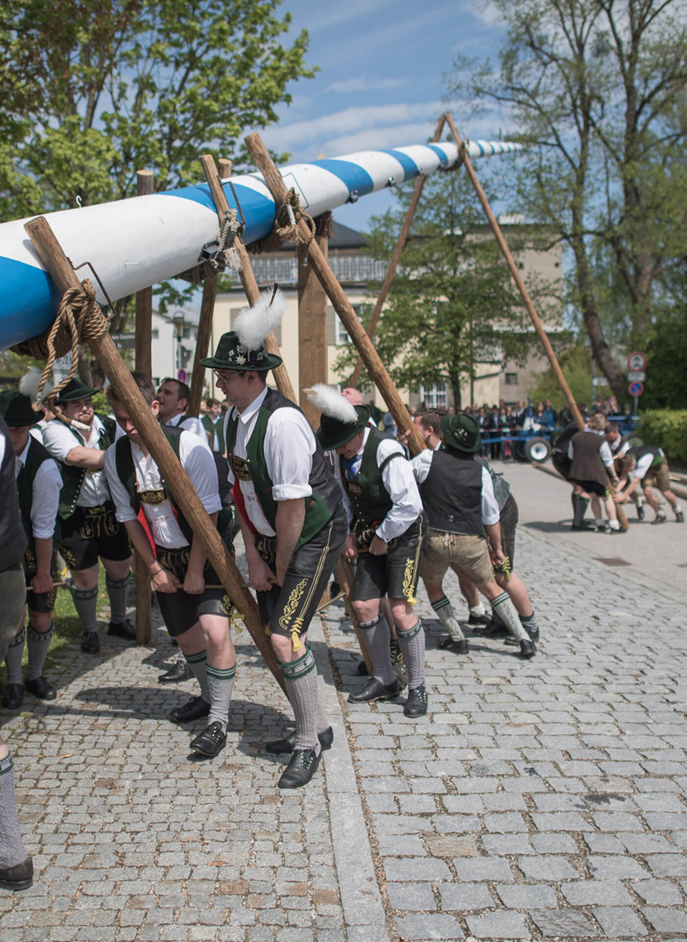Trachtler stellen gemeinsam Maibaum in Bad Aibling auf
