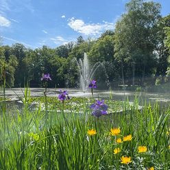 Der Irlachweiher it Fontäne im Kurpark Bad Aibling im Sommer