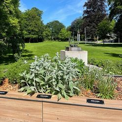 Duft- und Tastgarten im Kurpark Bad Aibling im Sommer