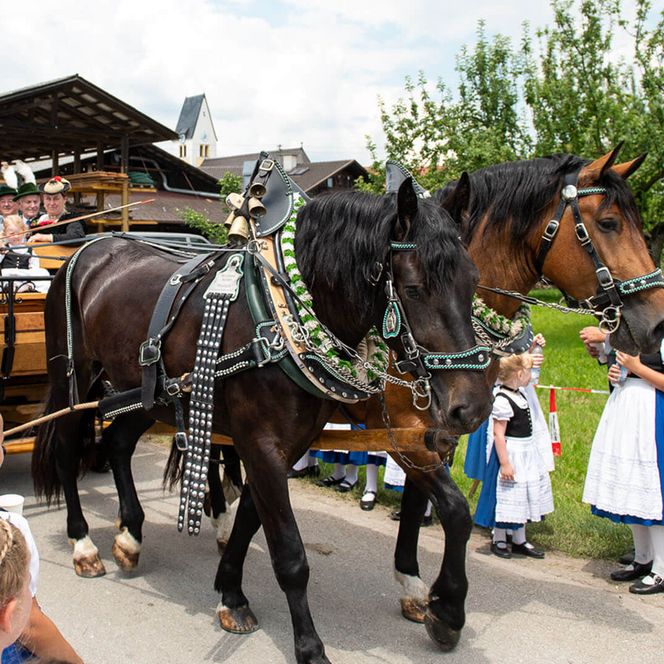 Festlich geschmückte Pferdekutsche auf einem bayerischen Fest