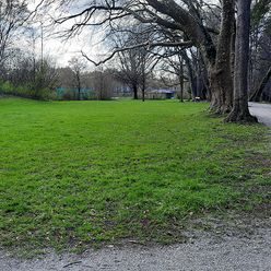 Kleine Wiesenfläche im Kurpark Bad Aibling unter Bäumen