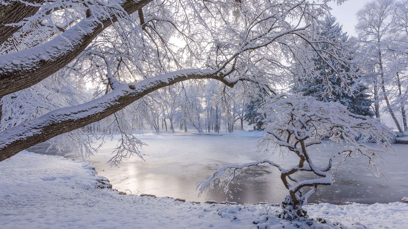 Kurpark Bad Aibling Irlachweiher Winter