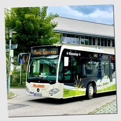 Ein Linienbus der Firma Hollinger mit Werbung für das Veranstaltungsforum Fürstenfeld fährt durch eine städtische Straße mit Haltestellenschild und Bäumen im Hintergrund.