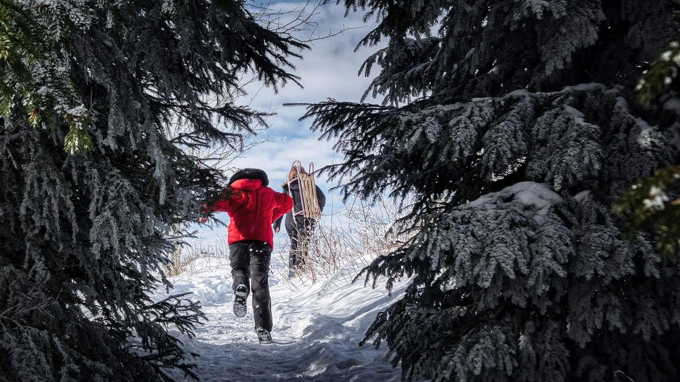 Pärchen wandert mit Schlitten durch verschneiten Wald