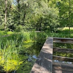 Moorgarten im Kurpark Bad Aibling im Sommer
